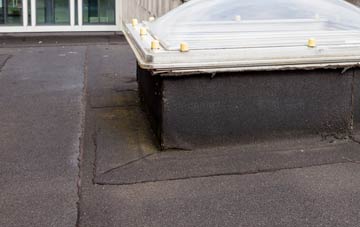 disadvantages of Pant Y Pyllau flat roofs