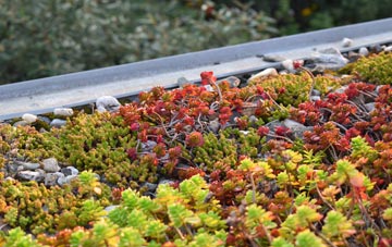 the cost of Pant Y Pyllau green roof installation
