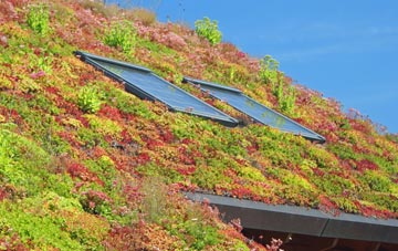 Pant Y Pyllau living roof systems
