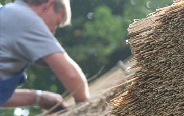 professional Pant Y Pyllau thatchers