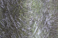 Pant Y Pyllau fibreglass roof work